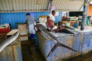 Negombo - Fischmarkt