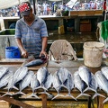 Negombo - Fischmarkt