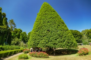 Botanischer Garten, Kandy