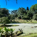 Botanischer Garten, Kandy