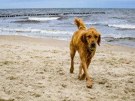 Usedom