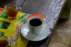Der berühmte, teure Lowak-Kaffee (Katzenkackekaffee)