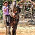 Thailand-20140309095723_Snapseed.jpg