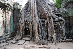 Ta Prohm-Tempel