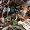 Markt: Frischer Fisch
