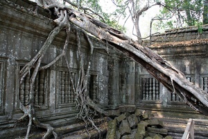 Beng Mealea-Tempel