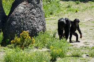 Safaripark „Beekse Bergen“