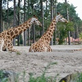 Safaripark „Beekse Bergen“