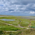 Insel Texel