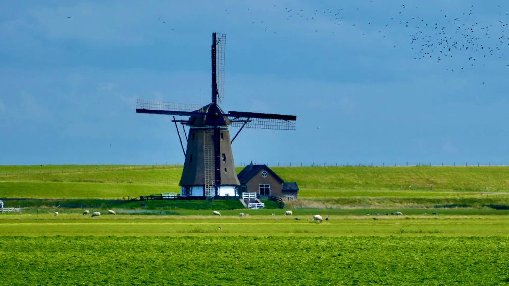 Holland-177.jpg