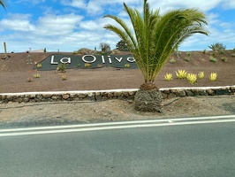 La Oliva