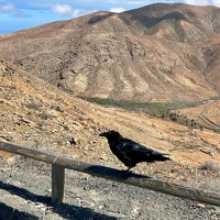 Betancuria Rural Park