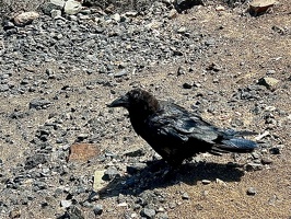 Betancuria Rural Park