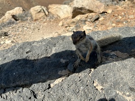 Betancuria Rural Park