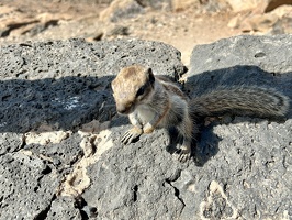 Betancuria Rural Park