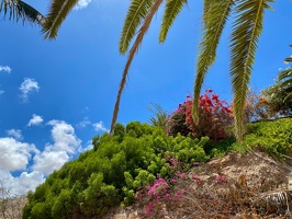 Playa de la Barca