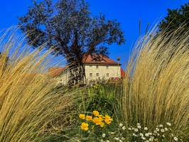 Zitadelle Petersberg