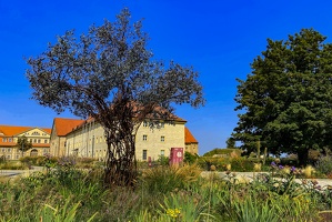 Zitadelle Petersberg