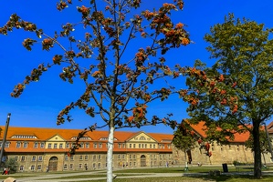 Zitadelle Petersberg