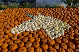 Kürbisfiguren, egapark