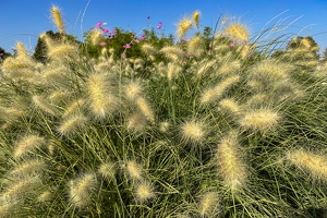 egapark