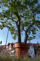 2024-0809 Erfurt-0315