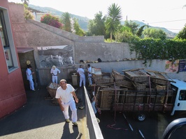Mit dem Korbschlitten von Monte nach Funchal