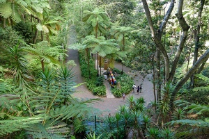 Monte Palace Tropical Garden