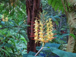 Monte Palace Tropical Garden