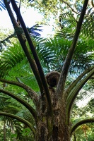 Monte Palace Tropical Garden