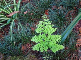 Monte Palace Tropical Garden