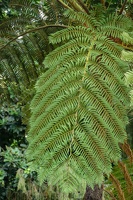 Monte Palace Tropical Garden