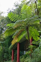 Monte Palace Tropical Garden