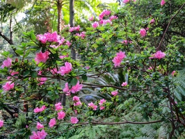 Monte Palace Tropical Garden