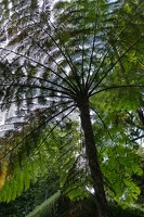 Monte Palace Tropical Garden