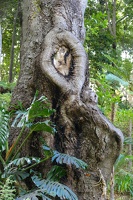 Monte Palace Tropical Garden