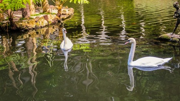 Monte Palace Tropical Garden