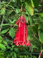 Monte Palace Tropical Garden