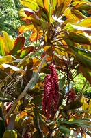 Funchal