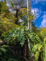2023-08 Madeira-0132