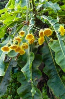 2023-08 Madeira-0133