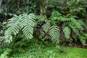 2023-08 Madeira-0134