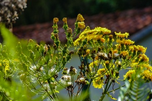 2023-08 Madeira-0138