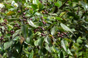 2023-08 Madeira-0140