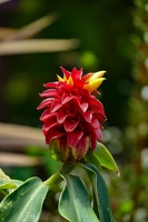 2023-08 Madeira-0162