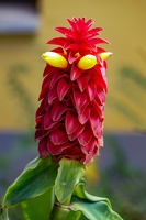 2023-08 Madeira-0163