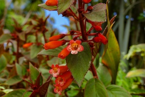 2023-08 Madeira-0165
