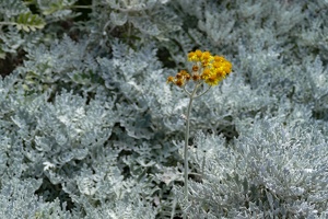 2023-08 Madeira-0167