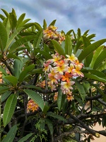 2023-08 Madeira-0188