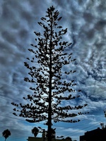2023-08 Madeira-0189